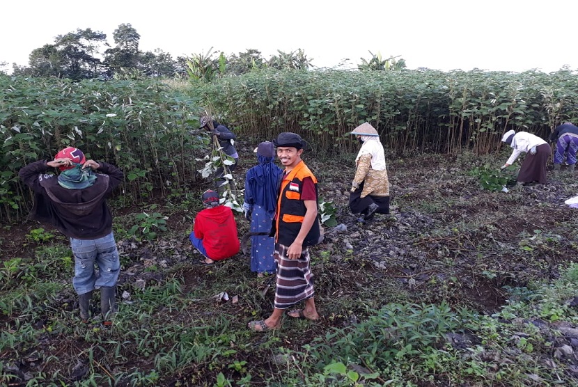 Dongkrak Industri Tekstil Nasional, Teten Dukung Komoditas Rami