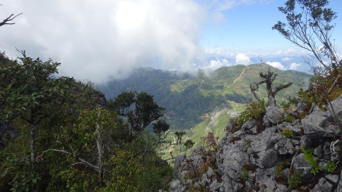 6 Fakta Menarik Gunung Ambeso di Tana Toraja yang Terkenal Sebagai Penghasil Kopi