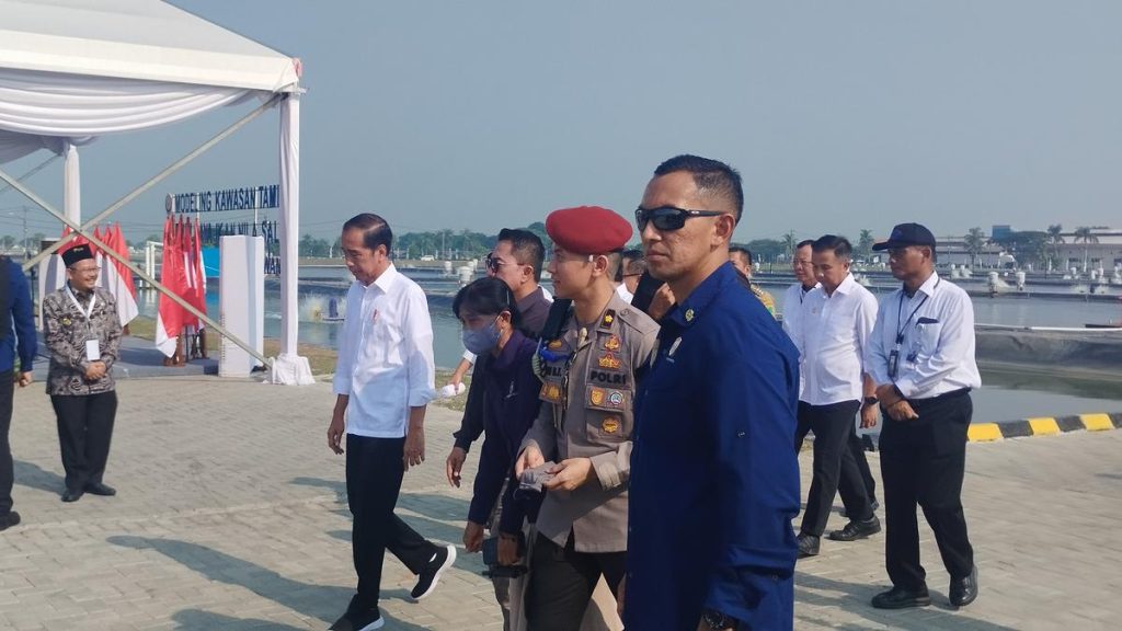 Jokowi Resmikan Modeling Budidaya Ikan Nila Salin, Telan Biaya Rp 76 Miliar