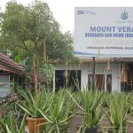 Mengintip Cuan Budidaya Aloe Vera di Gunungkidul, Makin Naik Kelas Berkat BRI