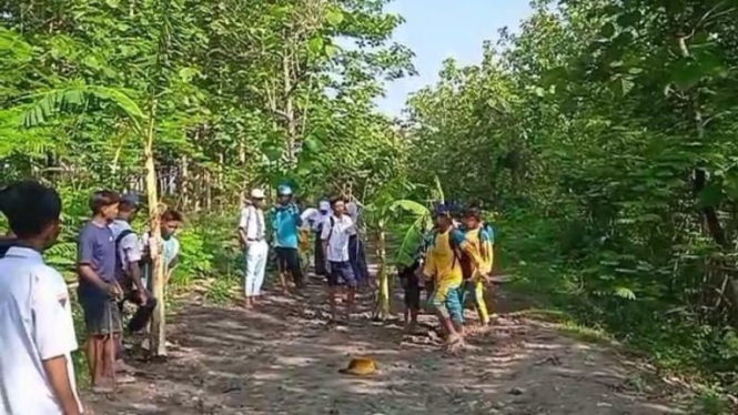 Viral Belasan Siswa Bolos Sekolah dan Tanam Pohon Pisang di Tengah Jalan