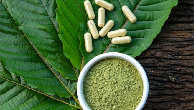 Kratom, Tanaman Herbal tapi Masuk Kategori Narkotika