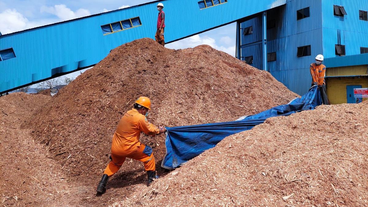 Melimpah di Indonesia, Biomassa Kayu jadi Solusi Tekan Emisi Karbon