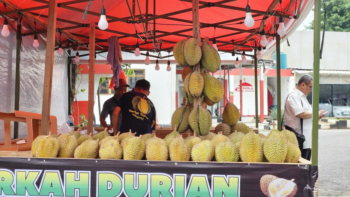 Mumpung Musim Durian, Kenali Apa Saja Manfaat Si Raja Buah Kaya Nutrisi Ini