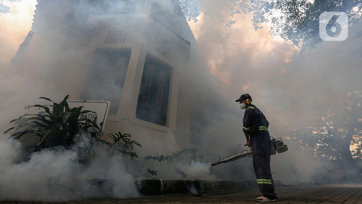 Terus Bertambah, Kasus Kematian DBD Capai 621 Tertinggi Kabupaten Bandung