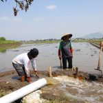 Perhatikan Petani Kecil, Presiden Jokowi Ajak Pemimpin Dunia Perkuat Pasokan Air