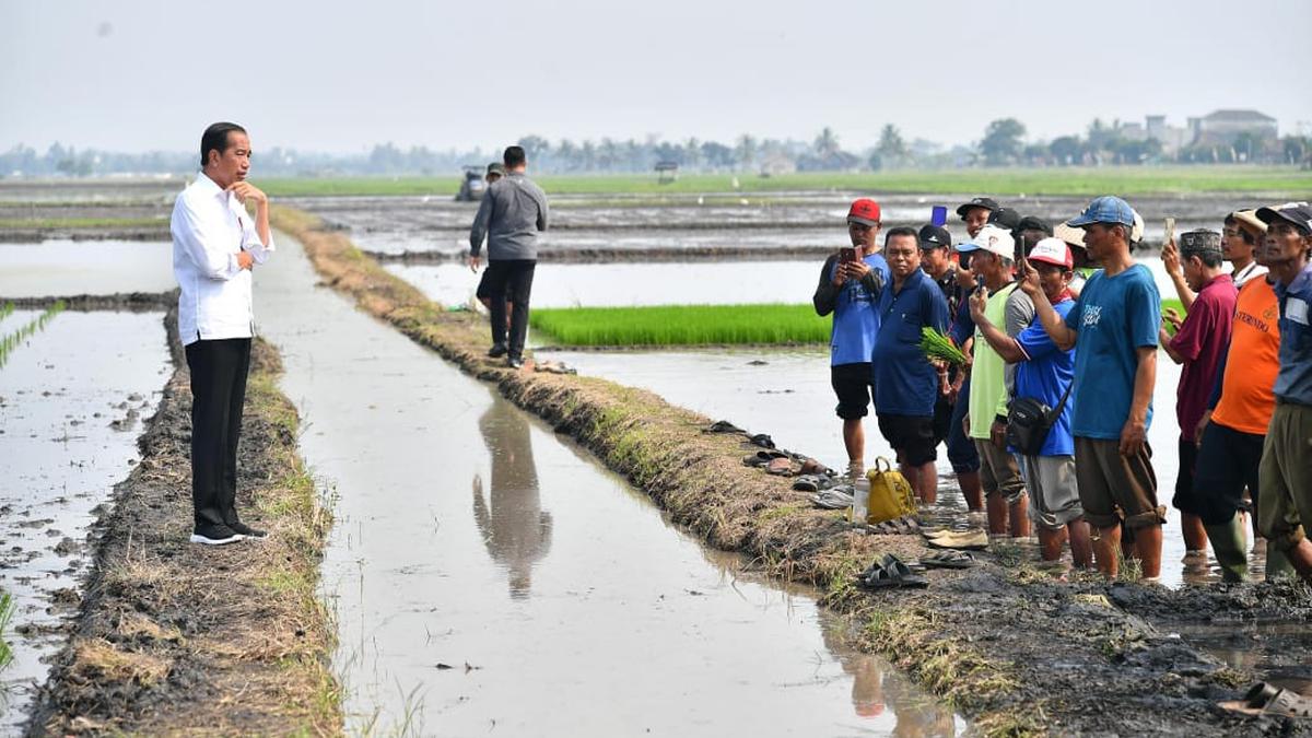 Presiden Tinjau Pompanisasi Kementan di Lampung Selatan