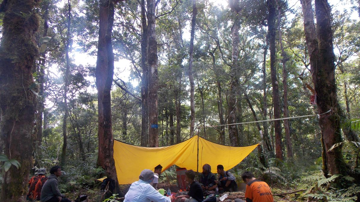 6 Fakta Menarik Gunung Sidole di Palu yang Dikenal Sebagai Puncak Semen