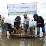 Wujudkan Net Zero Emission, 1.000 Bibit Mangrove Ditanam