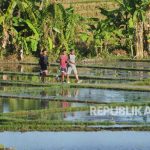 Delapan Cara Mudah untuk Jaga Otak Tetap Sehat dan Tajam