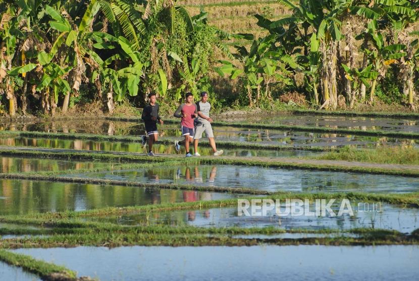 Delapan Cara Mudah untuk Jaga Otak Tetap Sehat dan Tajam