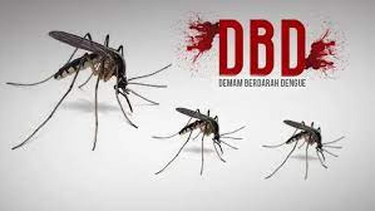 ASEAN Dengue Day 15 Juni 2024, Lakukan Gerakan 3M Plus untuk Pencegahan